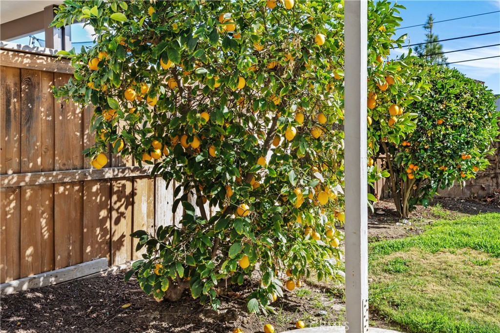 32679 Gabbiano Street