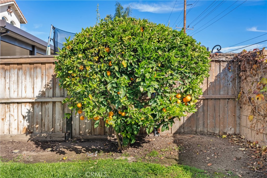 32679 Gabbiano Street