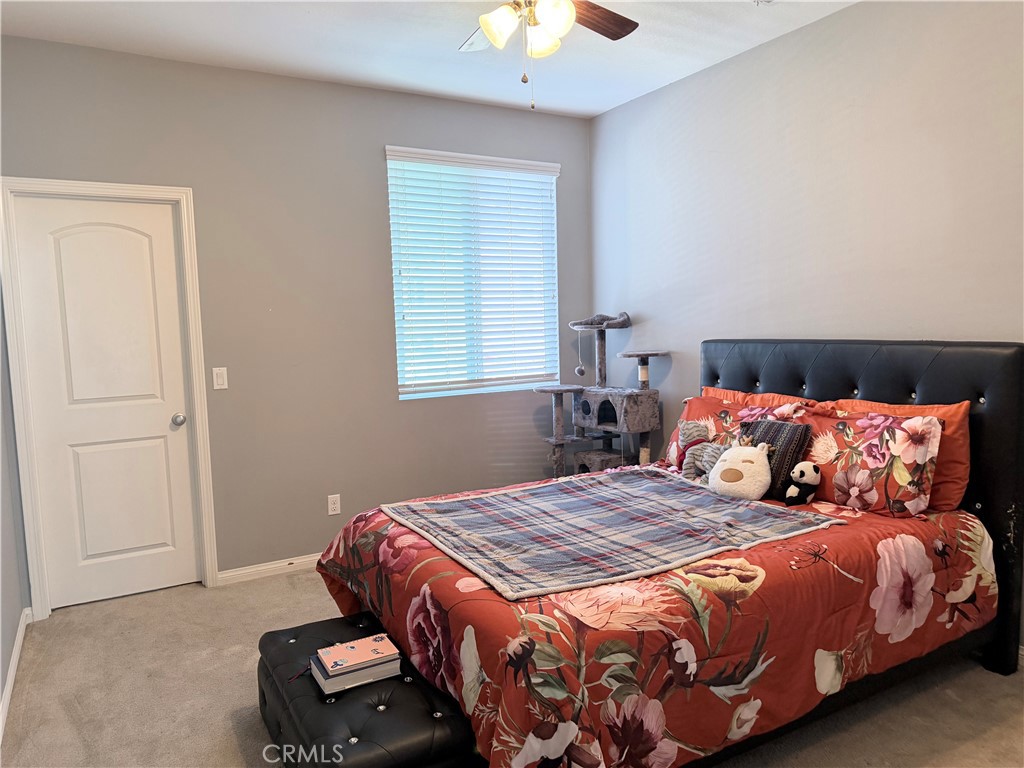 31447 Manlio Court