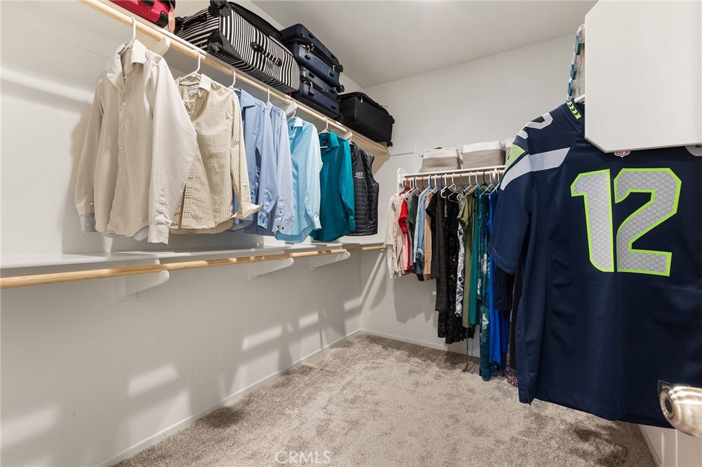 30783 Mossy Bend Lane