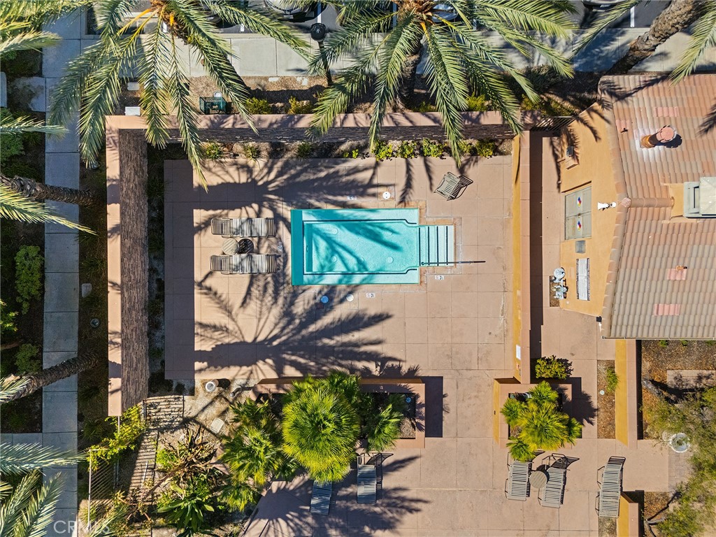 31186 Lavender Court 164