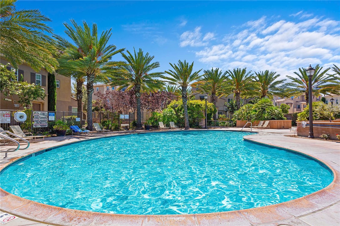31186 Lavender Court 164