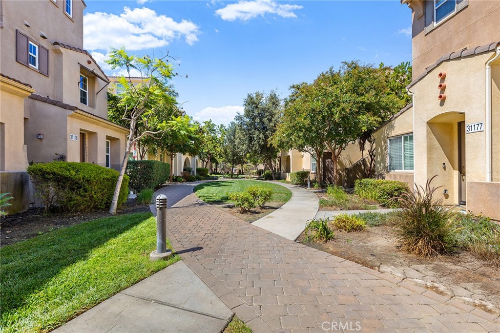 31186 Lavender Court 164