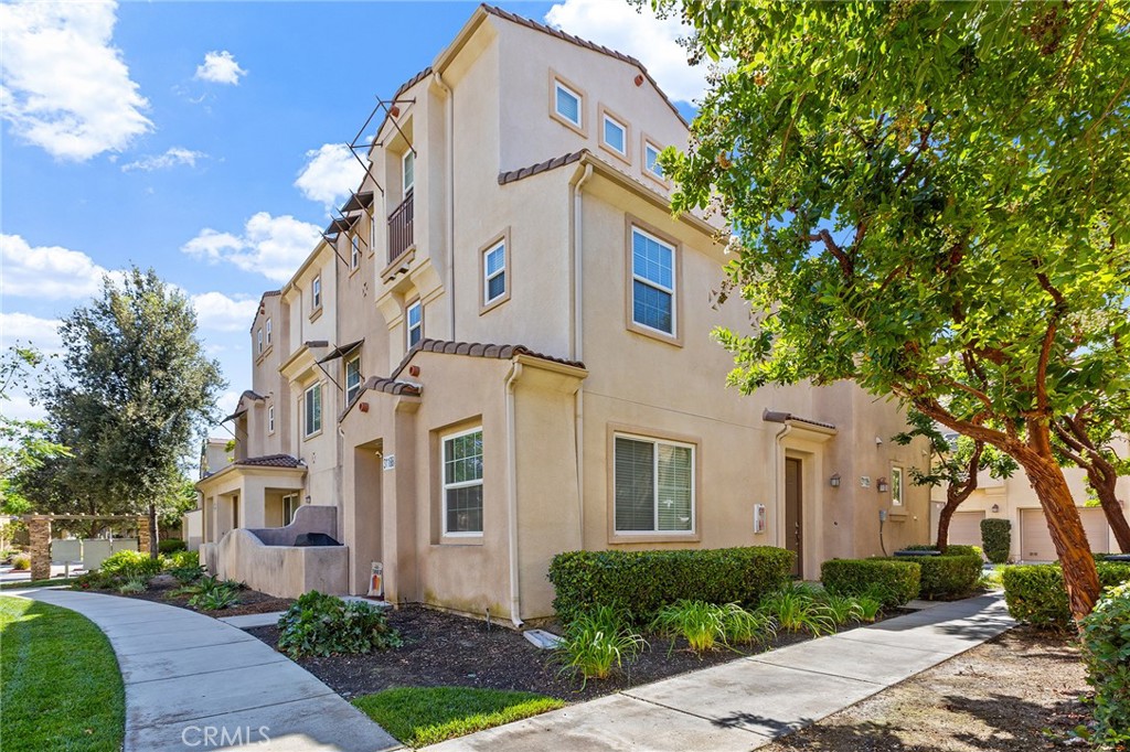 31186 Lavender Court 164