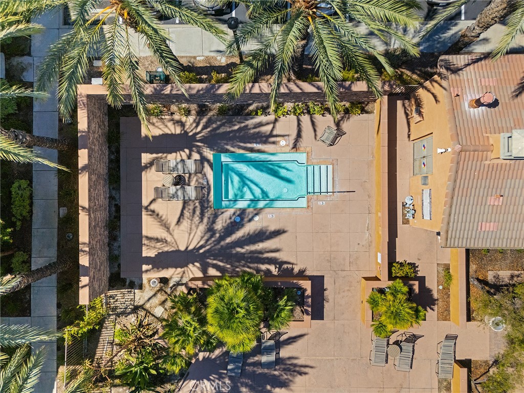 31186 Lavender Court 164