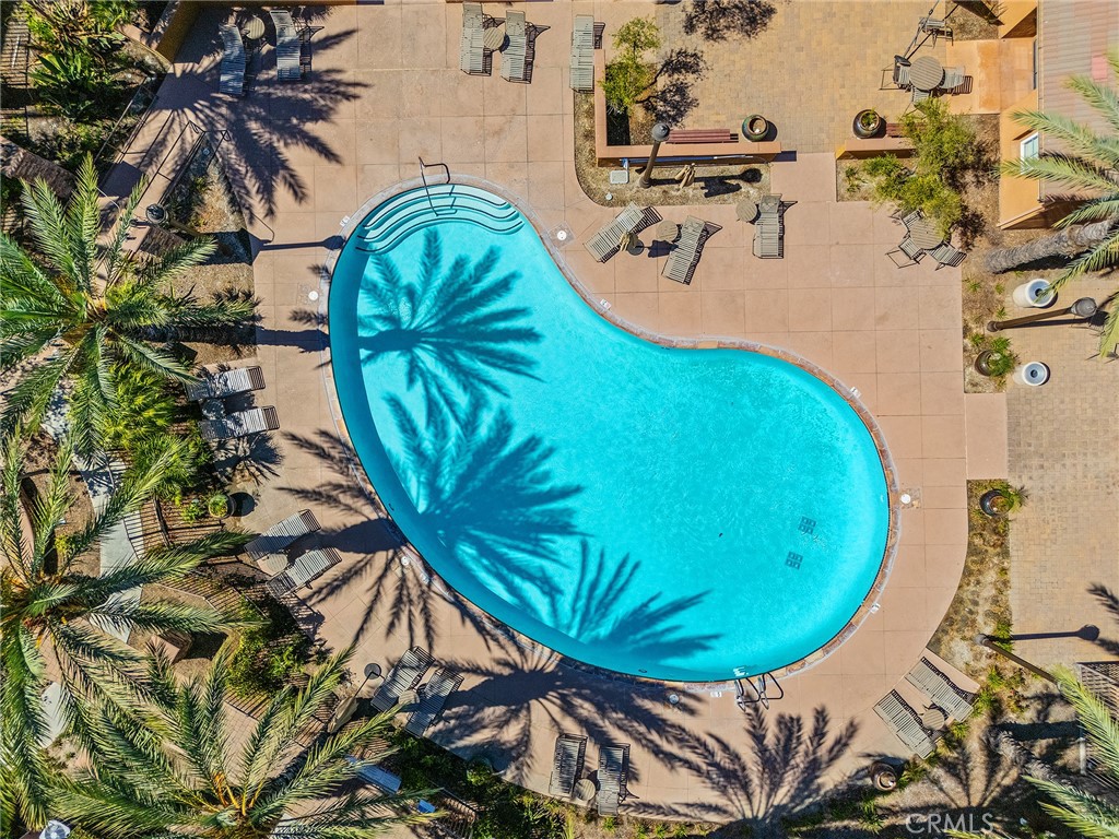 31186 Lavender Court 164
