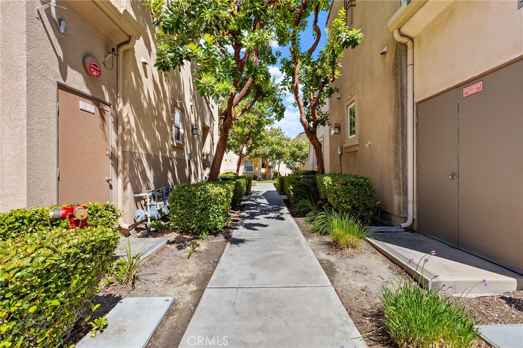 31186 Lavender Court 164