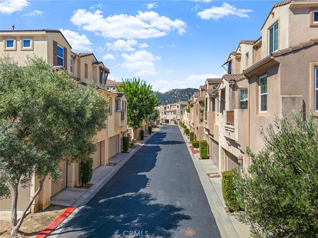 31186 Lavender Court 164