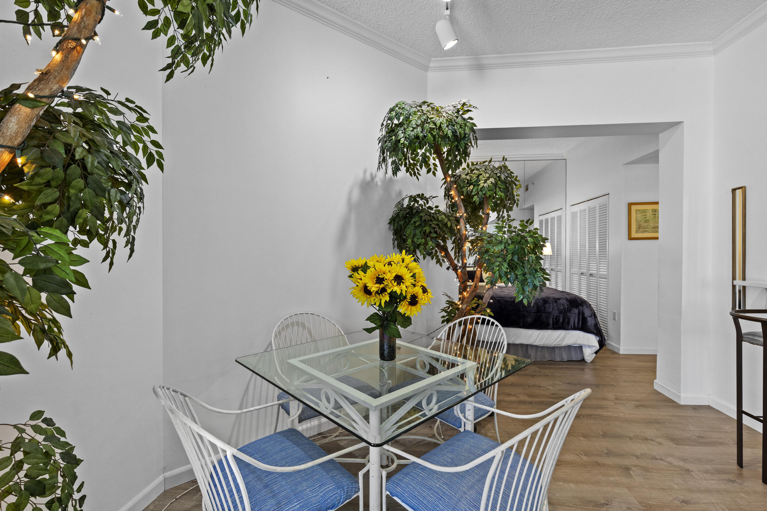 255 Evernia Street 1518