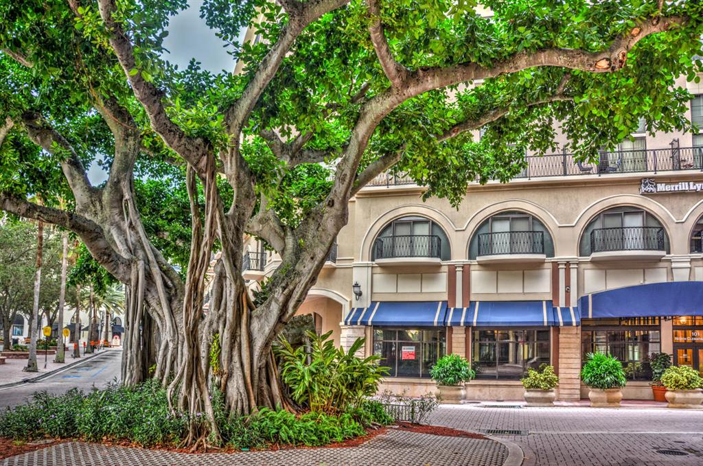 480 Hibiscus Street 1015