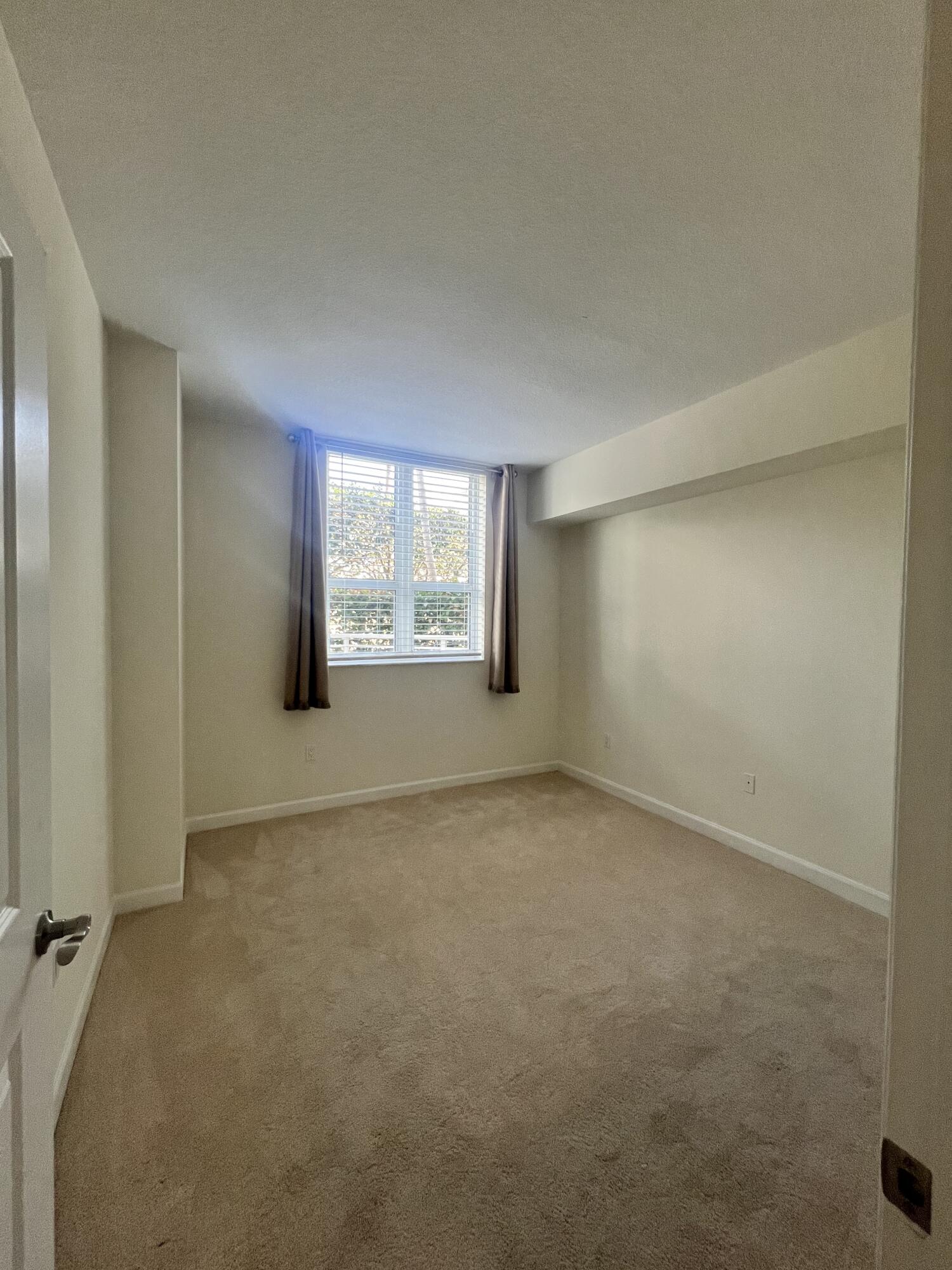 480 Hibiscus Street 614