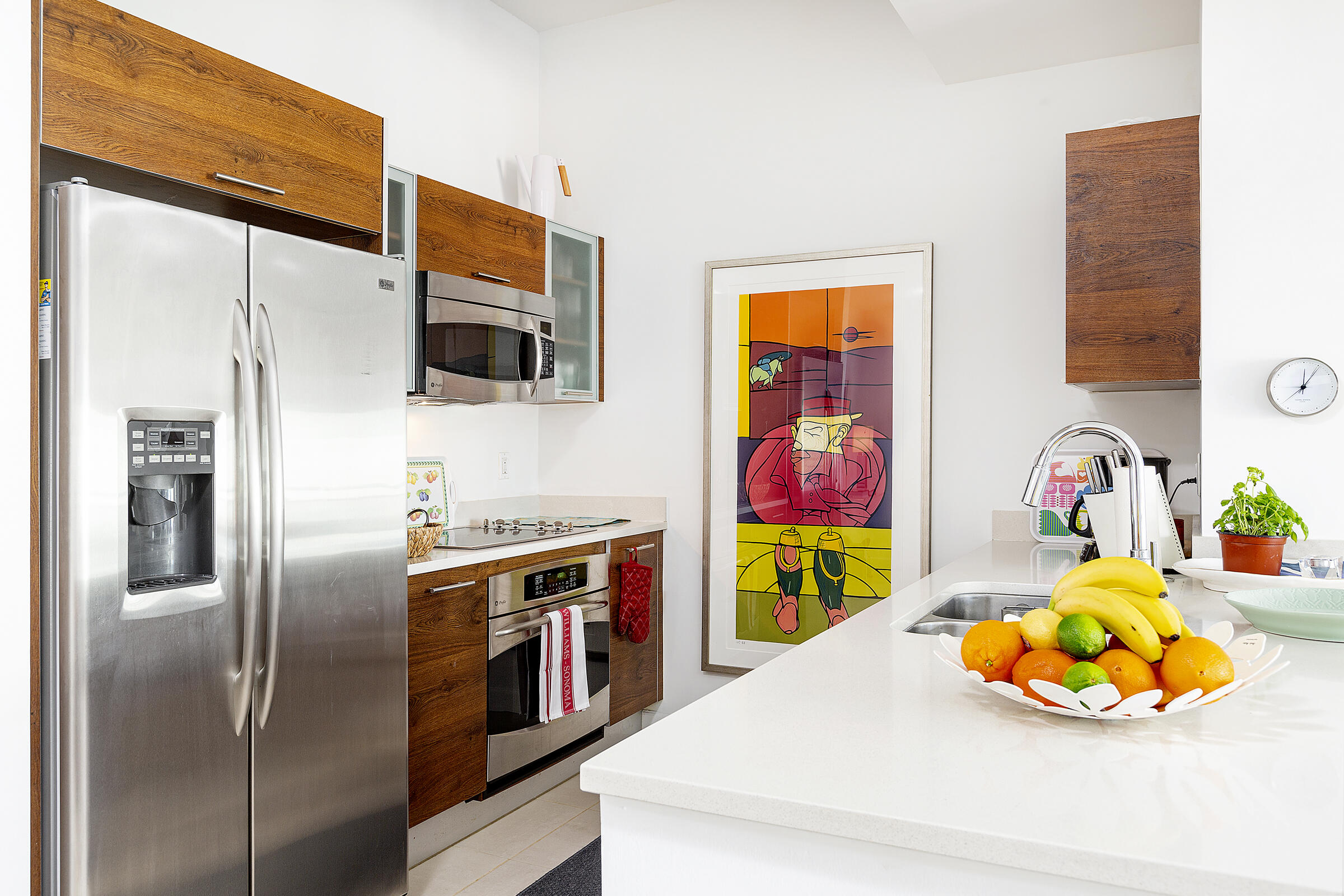 480 Hibiscus 1030 Street 1030
