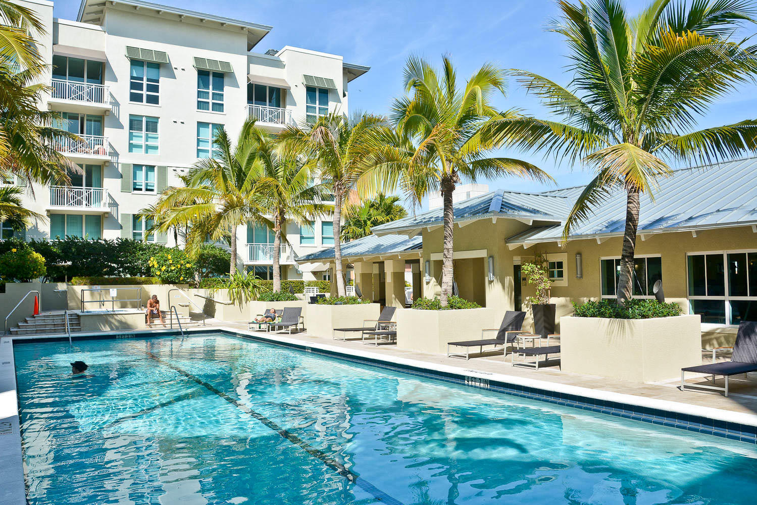 480 Hibiscus Street 736