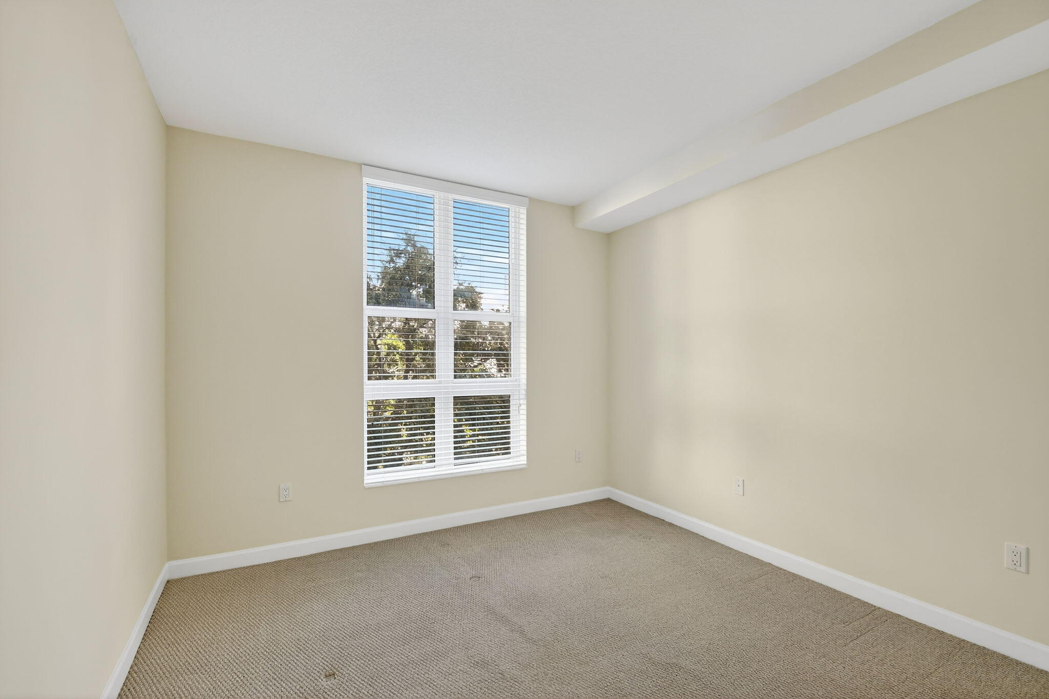 480 Hibiscus Street 338