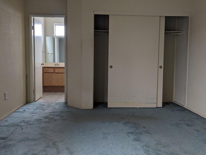 49435 Tulipan Street