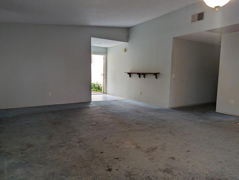 49435 Tulipan Street