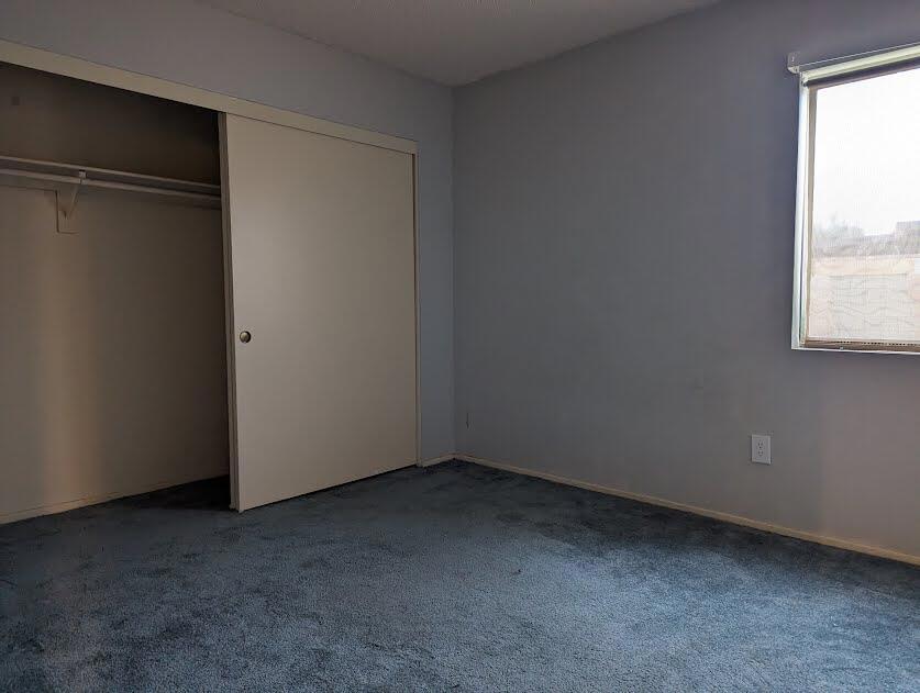 49435 Tulipan Street