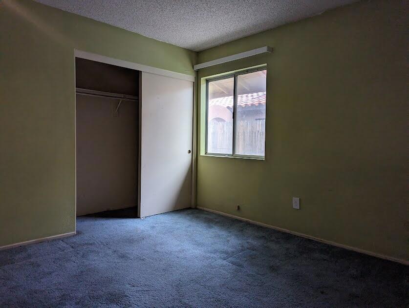 49435 Tulipan Street