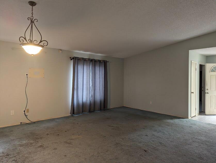 49435 Tulipan Street