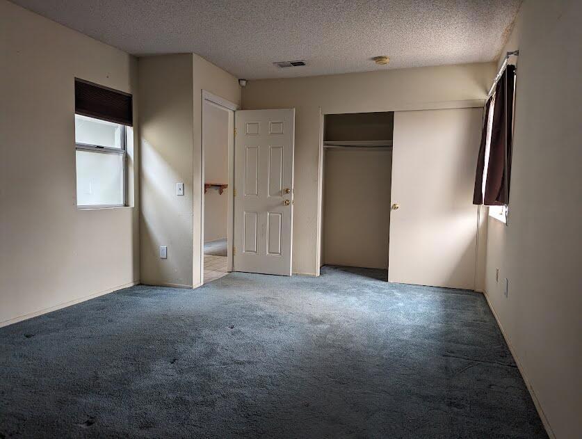 49435 Tulipan Street