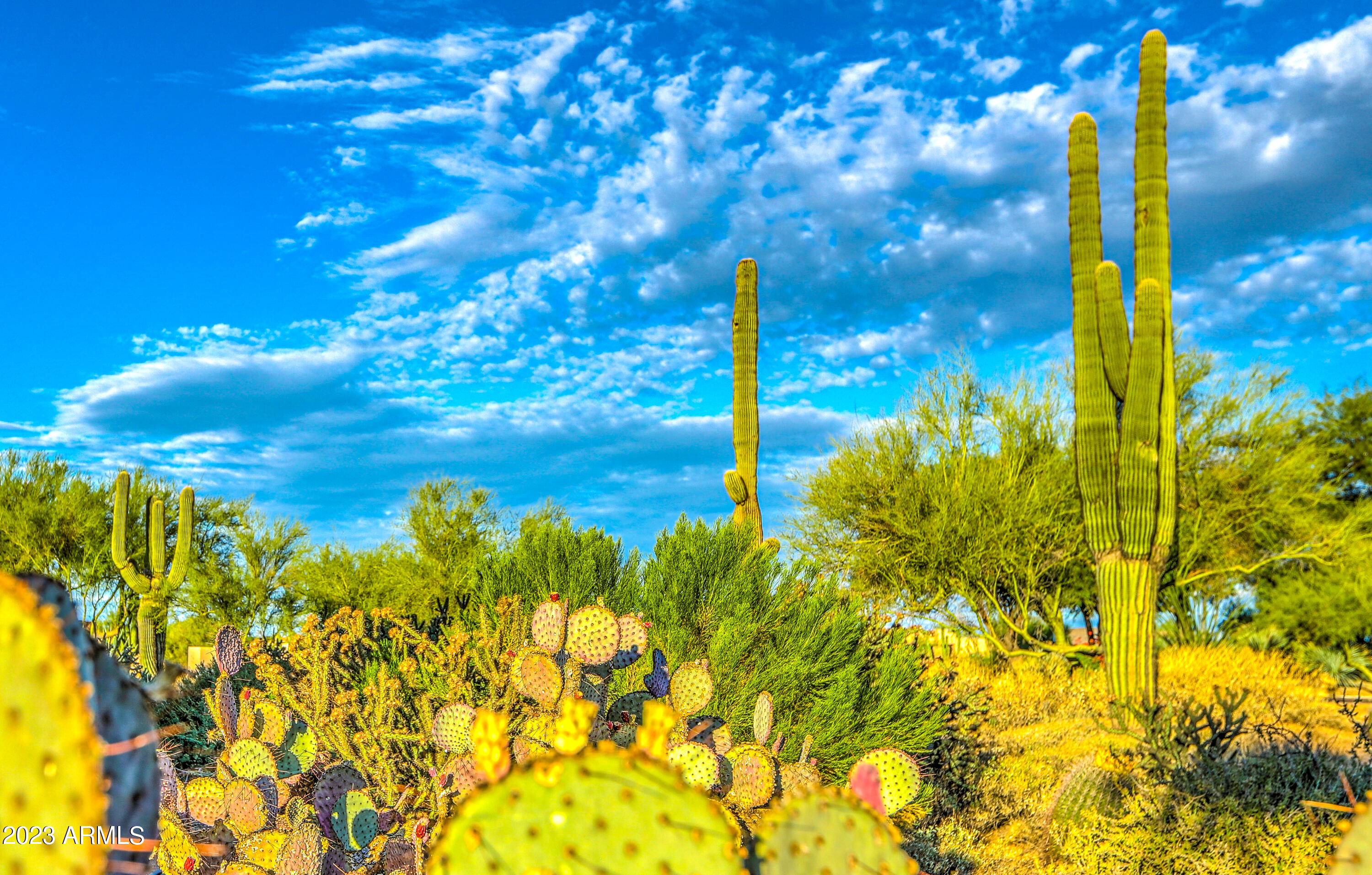 9578 E RAINDANCE Trail