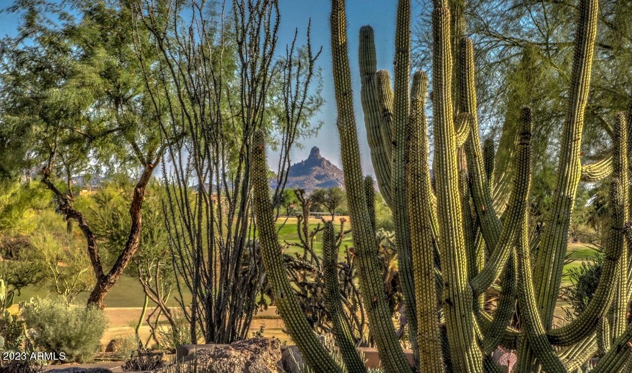 9578 E RAINDANCE Trail