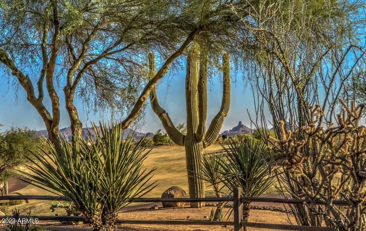 9578 E RAINDANCE Trail