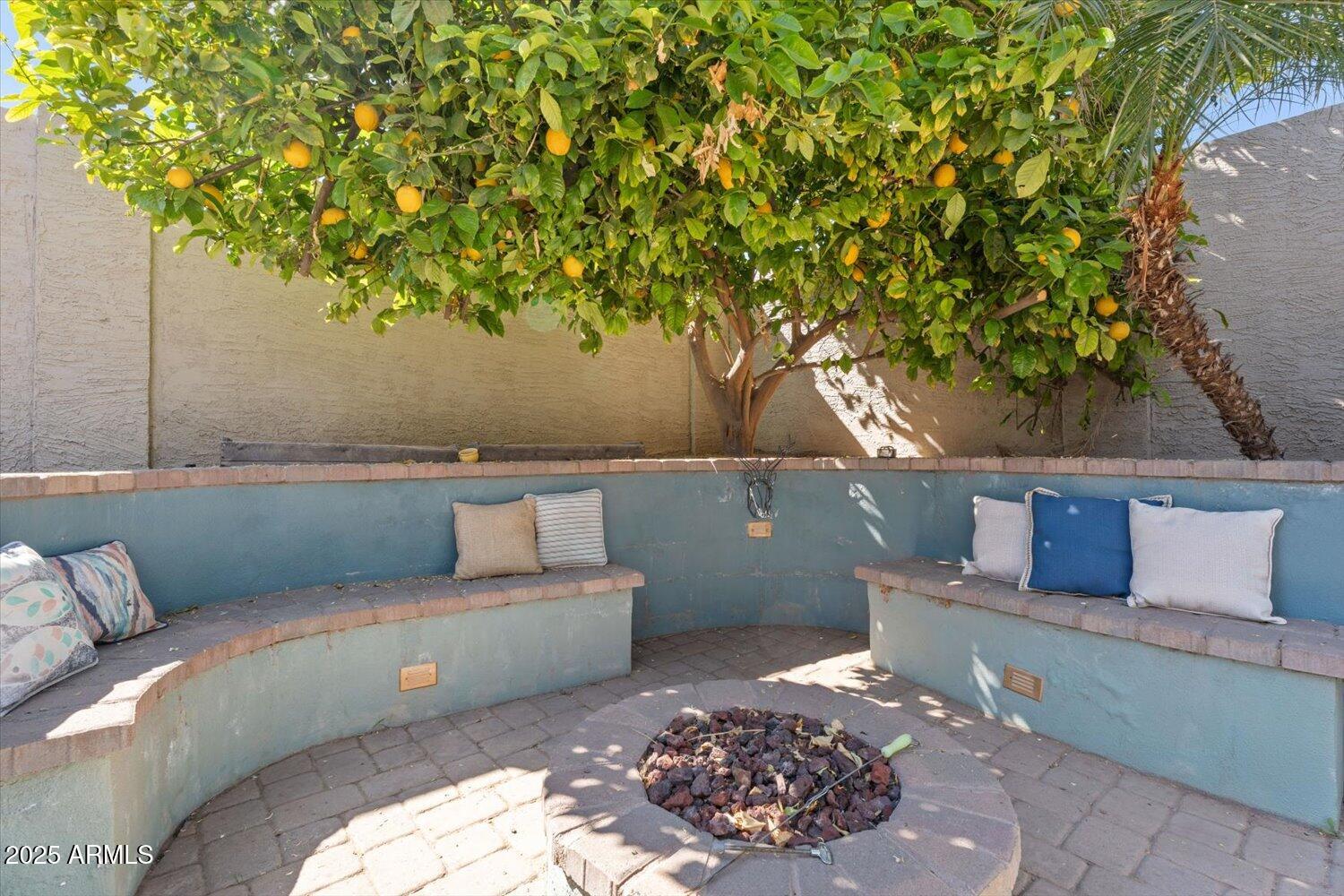 Backyard patio with curved cushioned benches, a circular fire pit, and a fruit-bearing citrus tree.