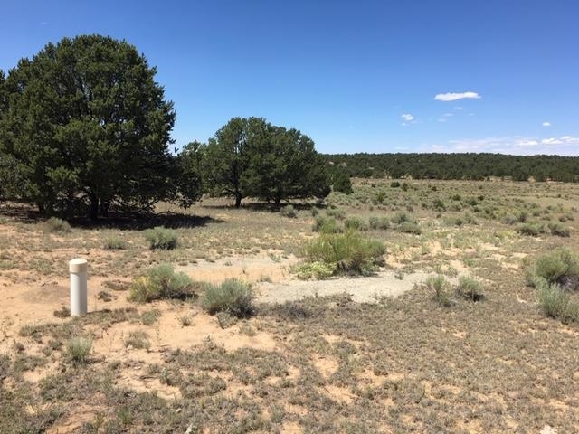 Tract 23 Choctaw