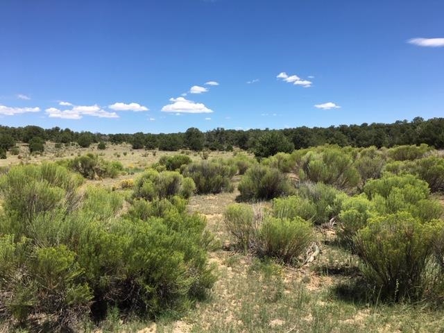 Tract 23 Choctaw