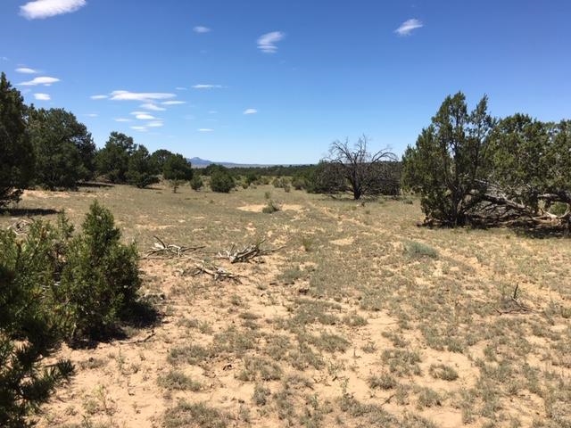 Tract 23 Choctaw
