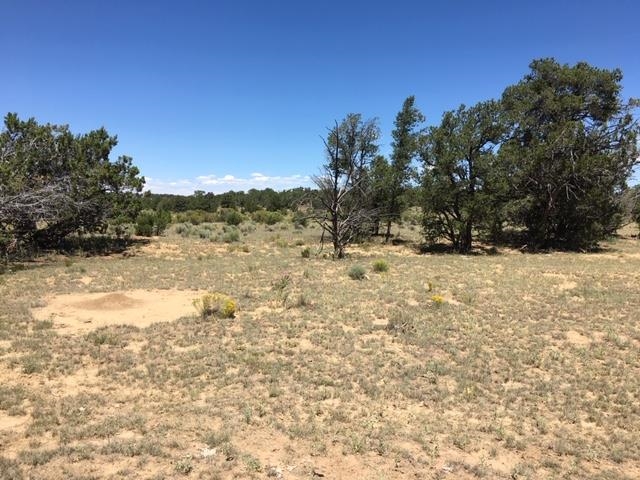Tract 23 Choctaw