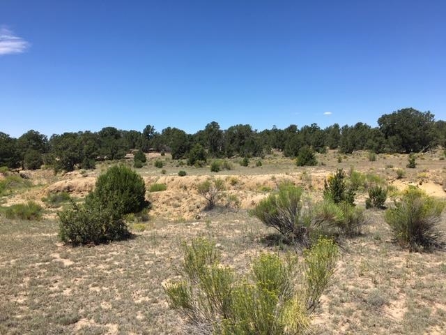 Tract 23 Choctaw