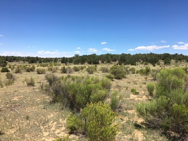 Tract 23 Choctaw