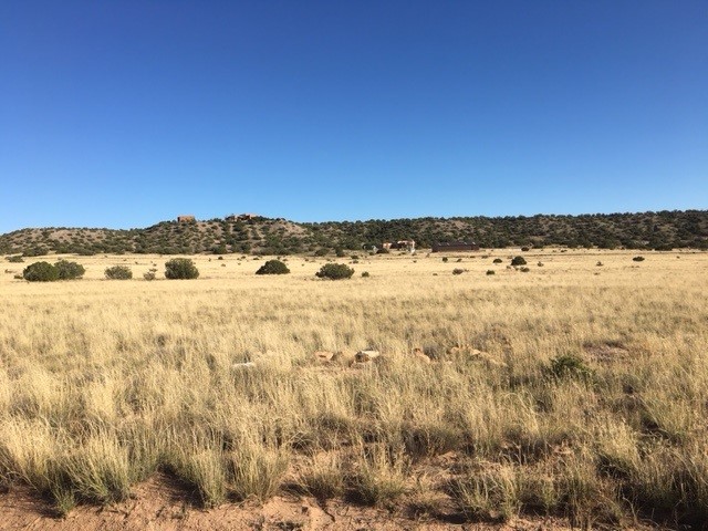 Lot 46 Big Fork Road