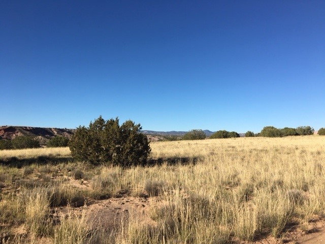 Lot 46 Big Fork Road