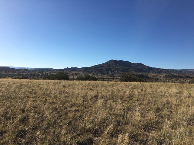 Lot 46 Big Fork Road