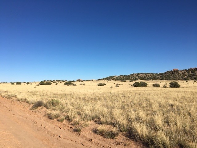 Lot 46 Big Fork Road