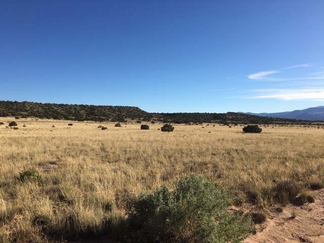 Lot 46 Big Fork Road
