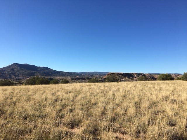 Lot 46 Big Fork Road