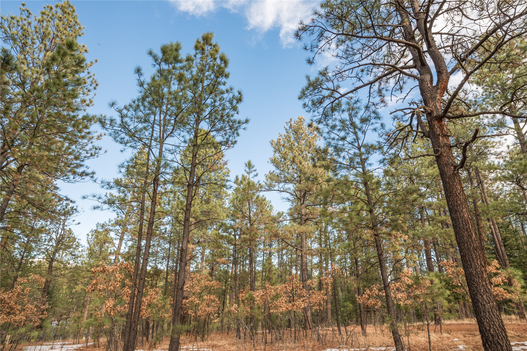 Lot 34 Alta Vista & Russ Road