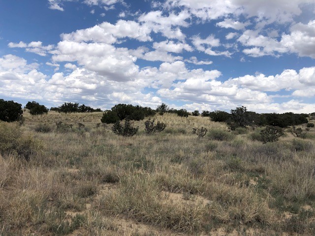 460 Camino Cerro Chato