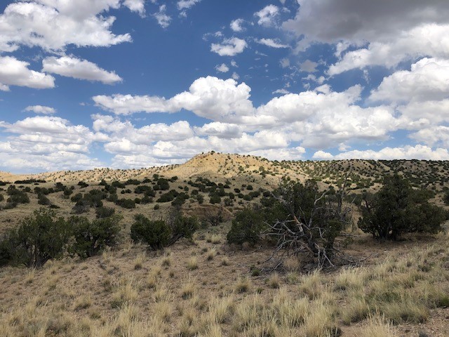 460 Camino Cerro Chato