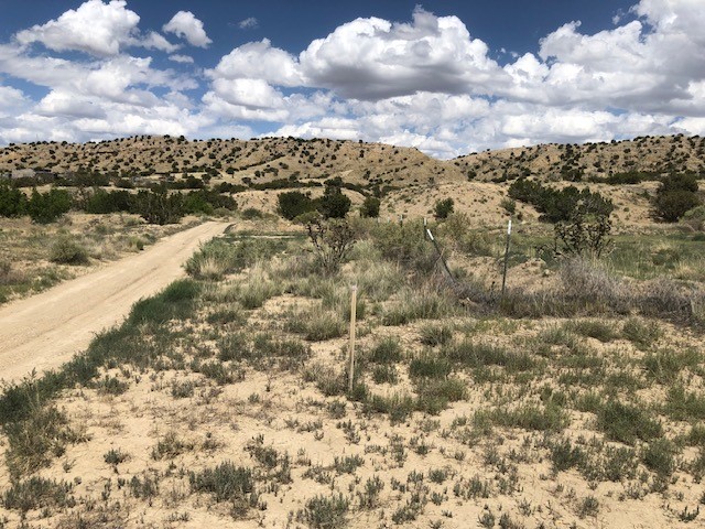 460 Camino Cerro Chato