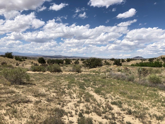 460 Camino Cerro Chato