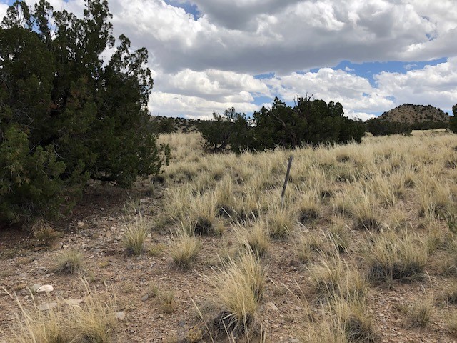 460 Camino Cerro Chato