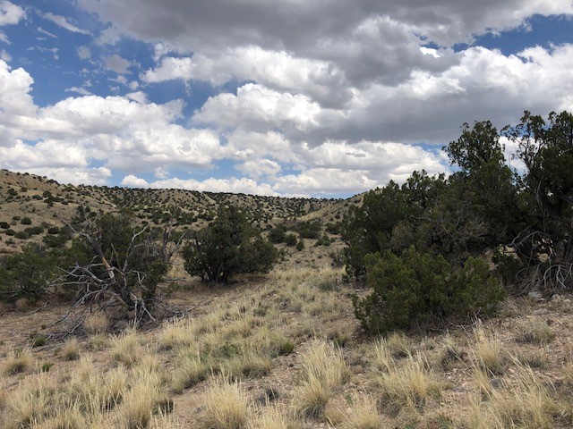 460 Camino Cerro Chato