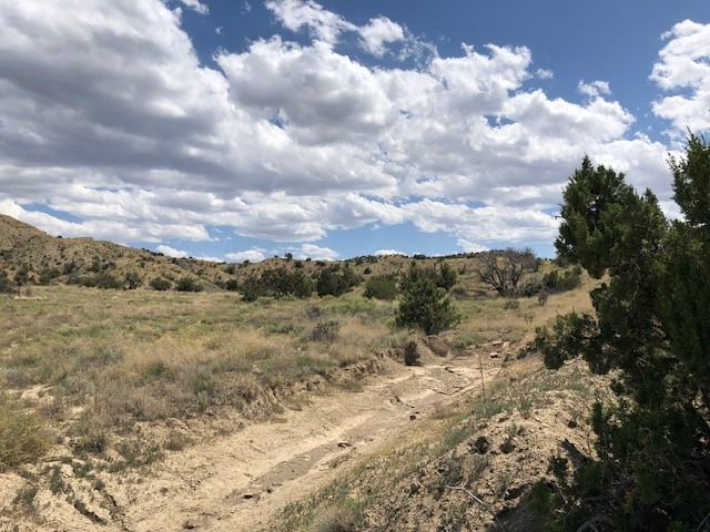 460 Camino Cerro Chato