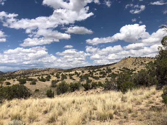 460 Camino Cerro Chato