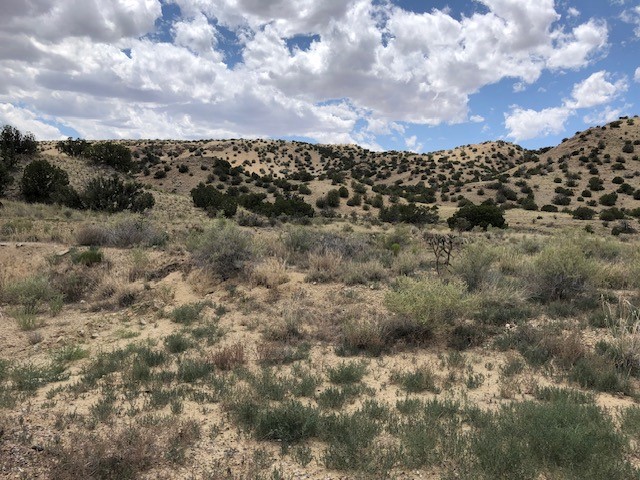 460 Camino Cerro Chato
